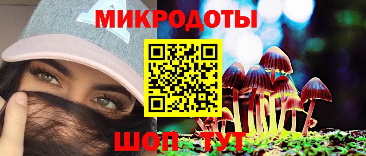 Псилоцибиновые грибы Cubensis Сибай