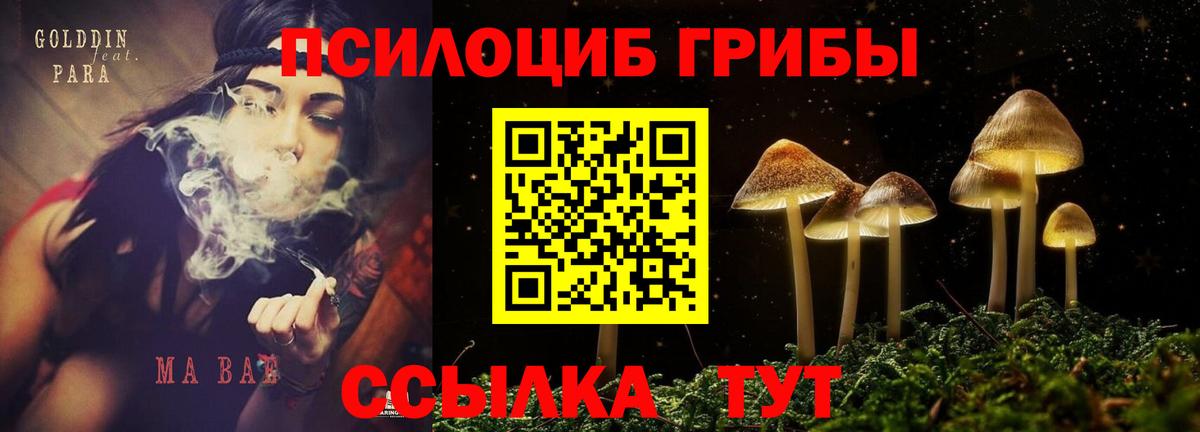 Псилоцибиновые грибы Psilocybine cubensis  Вход с VPN  Псилоцибиновые грибы мухоморы  Сибай 
